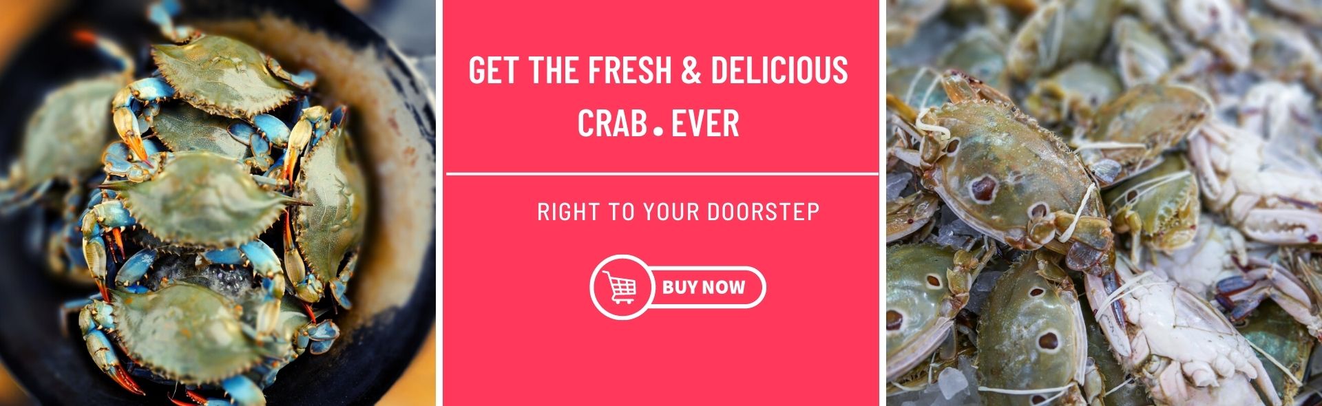 Buy Raw Crab Online
