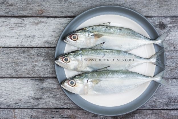 Buy Fresh Indian Mackerel / Aila Fish Online from Chennai Meats