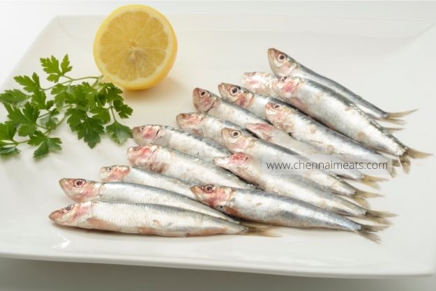 Buy Fresh Sardine Fish / Mathi Meen from Chennai Meats