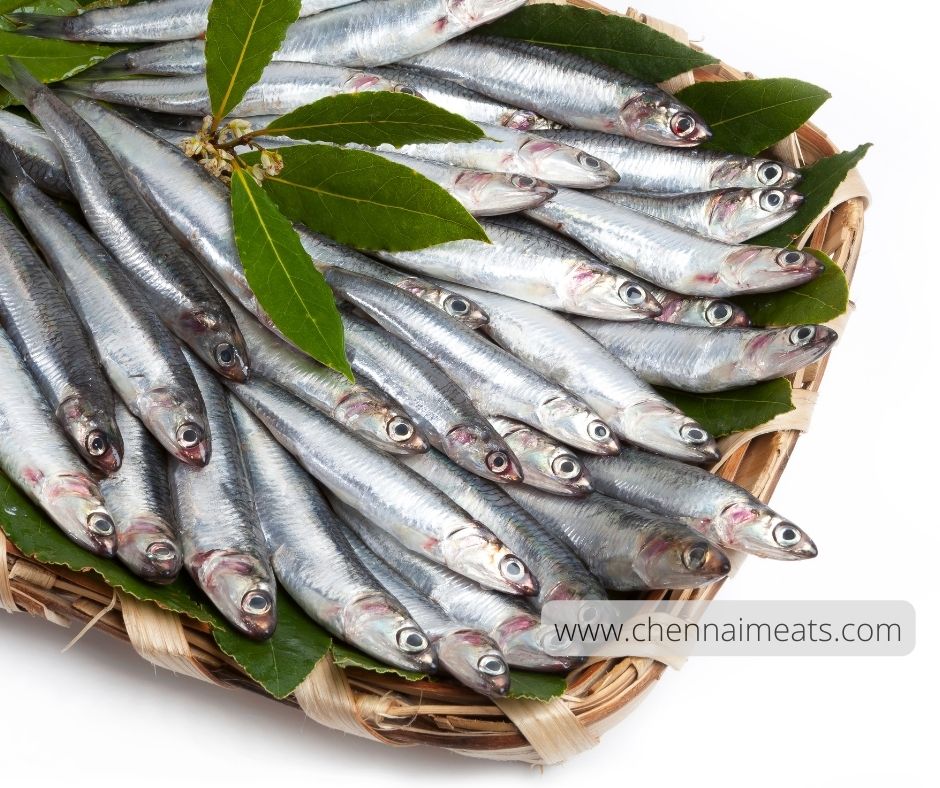 Buy Fresh Anchovy Fish Online from Chennai Meats
