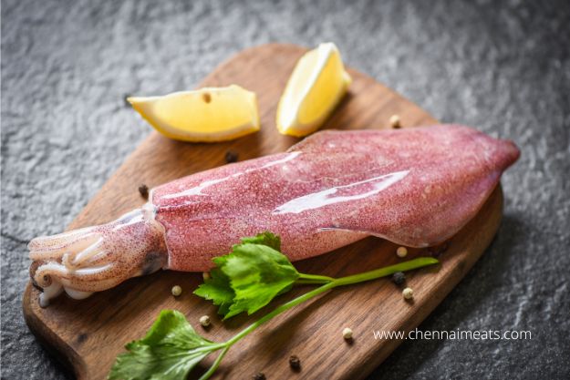 Buy Fresh Raw Whole Squid with Skin from Chennai Meats