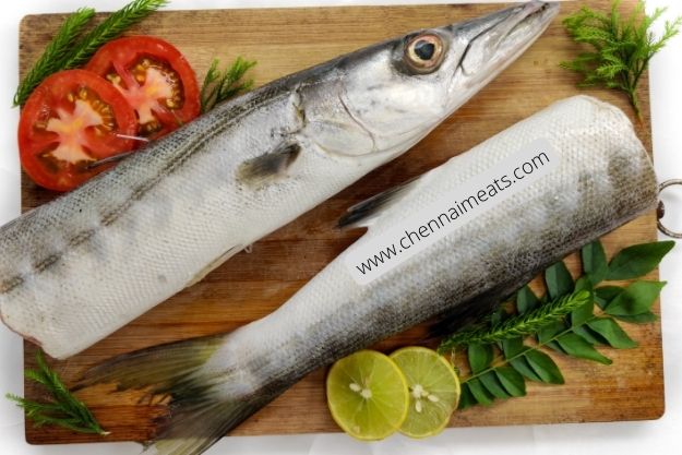 Buy Fresh Sheela Fish Online from Chennai Meats