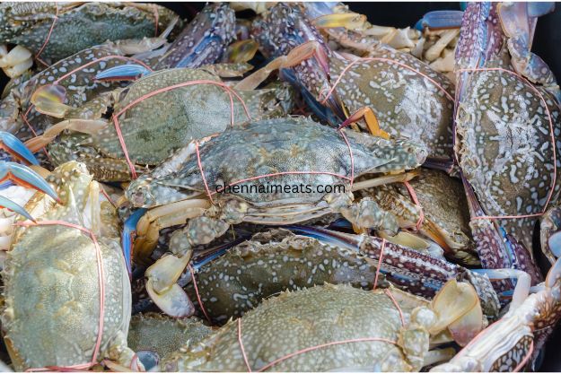 Raw Whole Bunch of Blue Crabs for sale